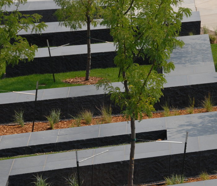 COMMUNITY COLLEGE OF DENVER