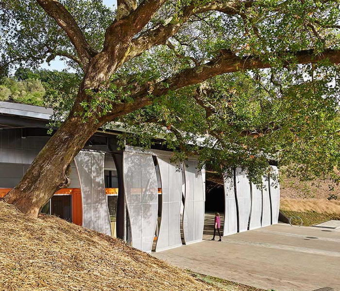 ODETTE WINERY