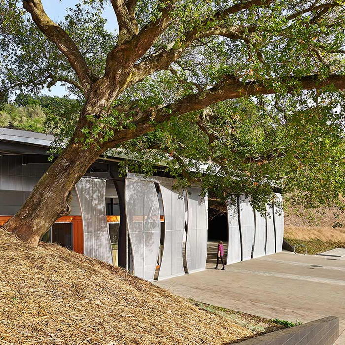 ODETTE WINERY